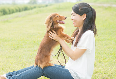 ペットと暮らしたい