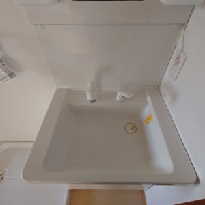 シャンプードレッサー