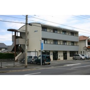 ﾏﾛﾝｱﾊﾟﾙﾄﾏﾝﾄ